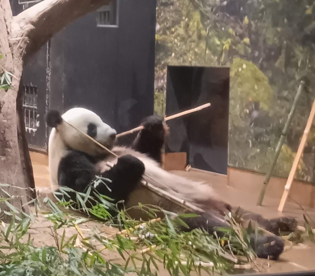 ゆう香 tweet media