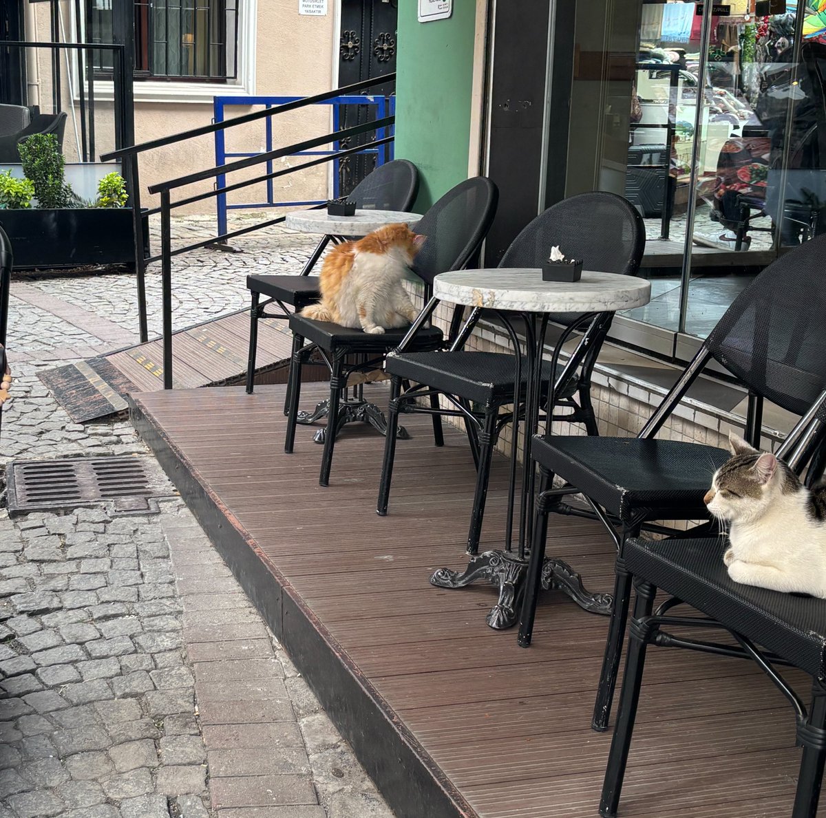 ちゃなず tweet media