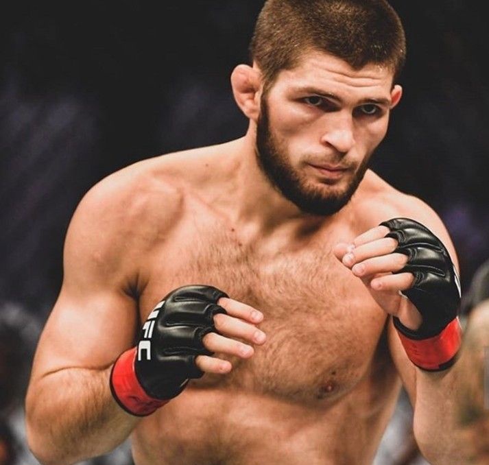 The Fight Fanatic tweet media