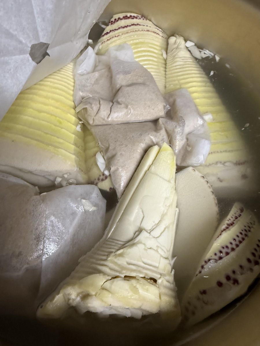 cнιℓιριℓιcσ♥チリピリ子 tweet media