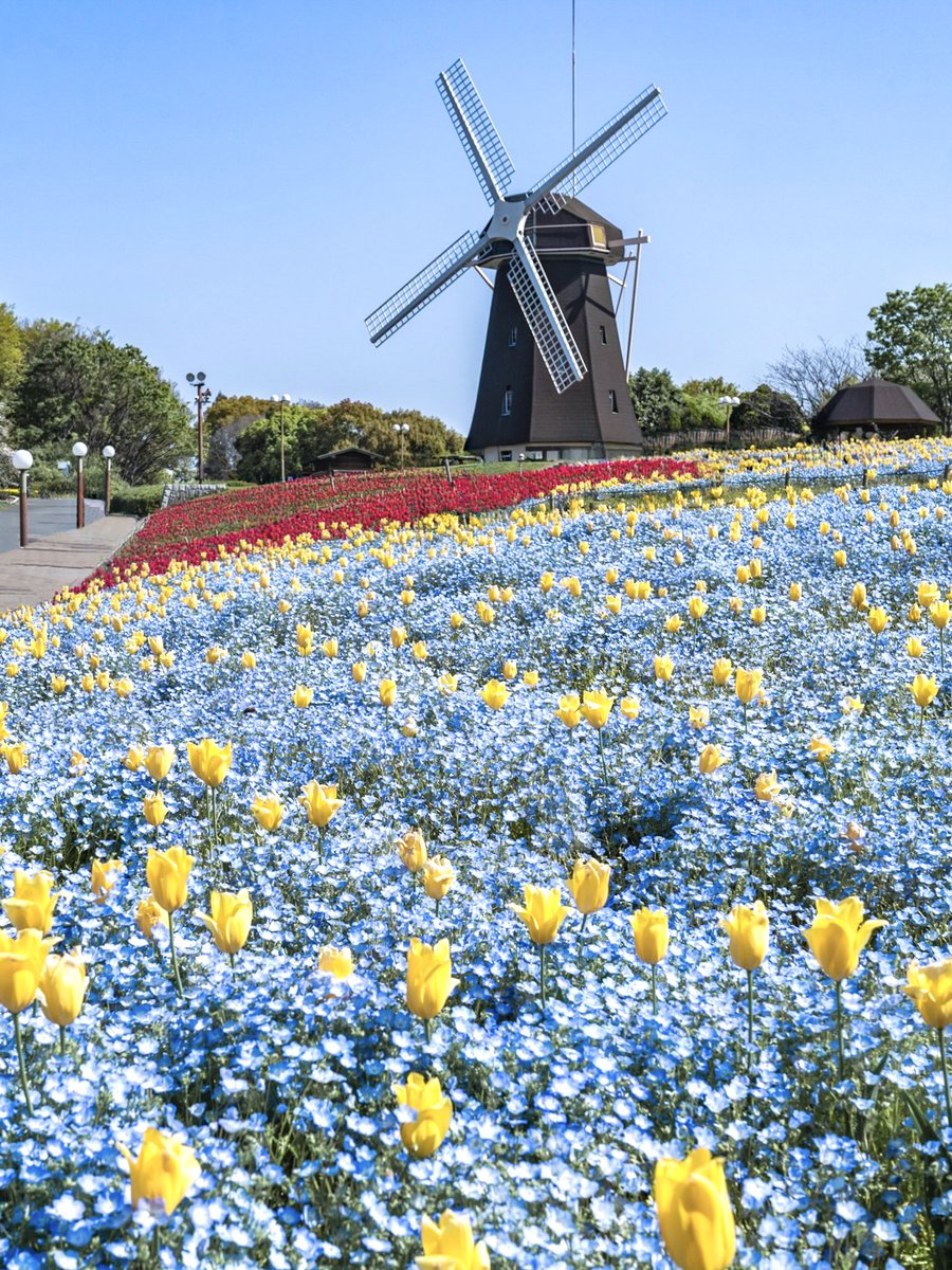 大阪にある外国のような風景