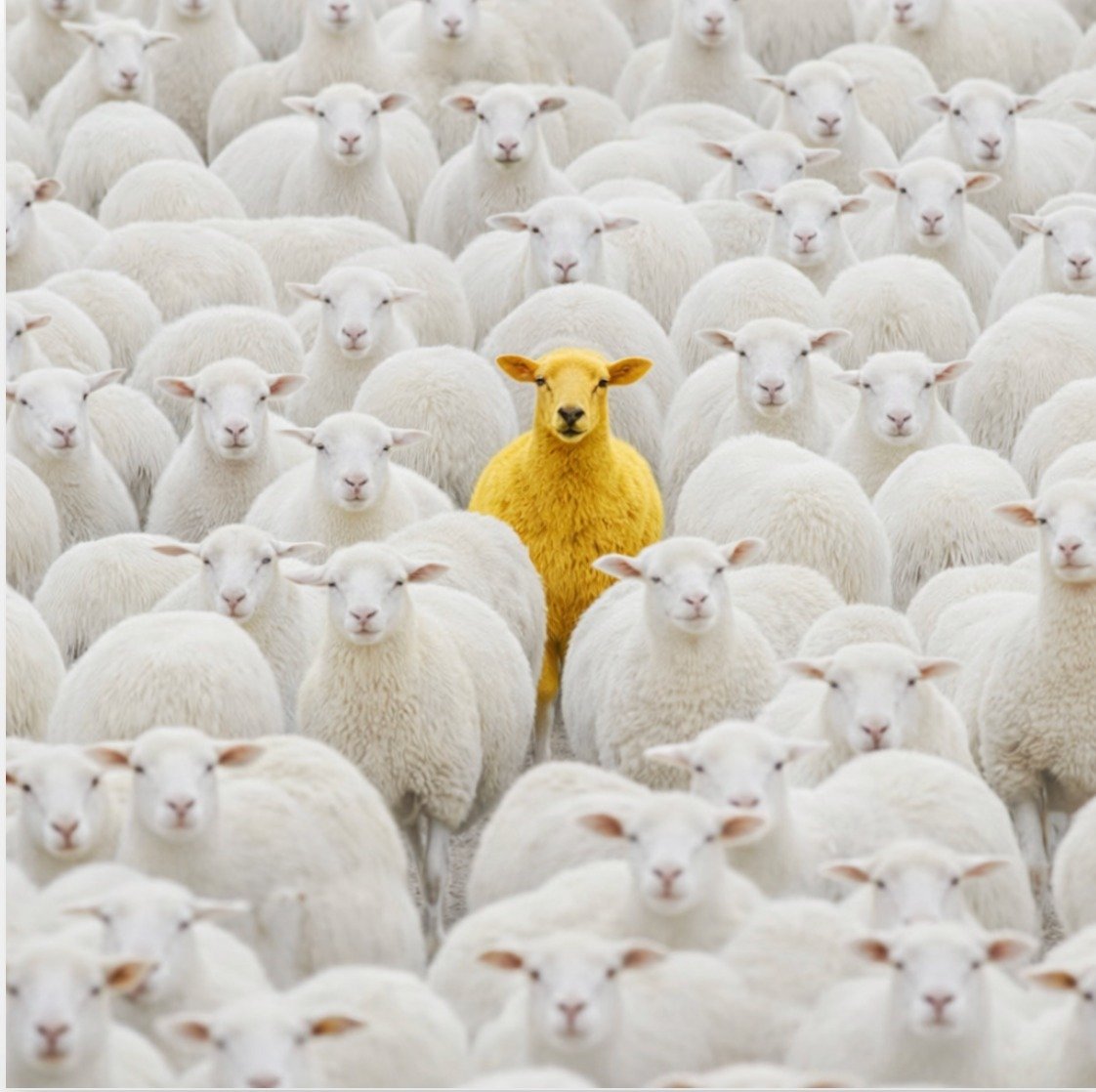 Binance España tweet media