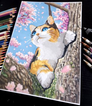 色鉛筆画