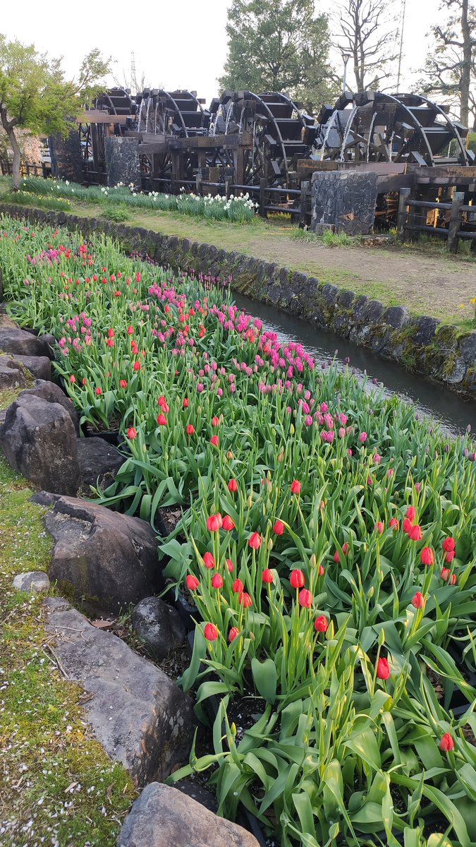 佐野ちゃん tweet media