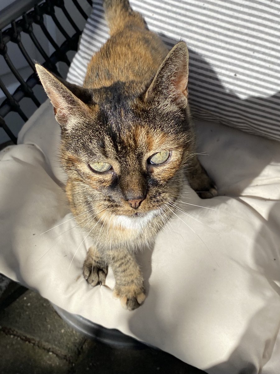 Jessy Wal tweet media