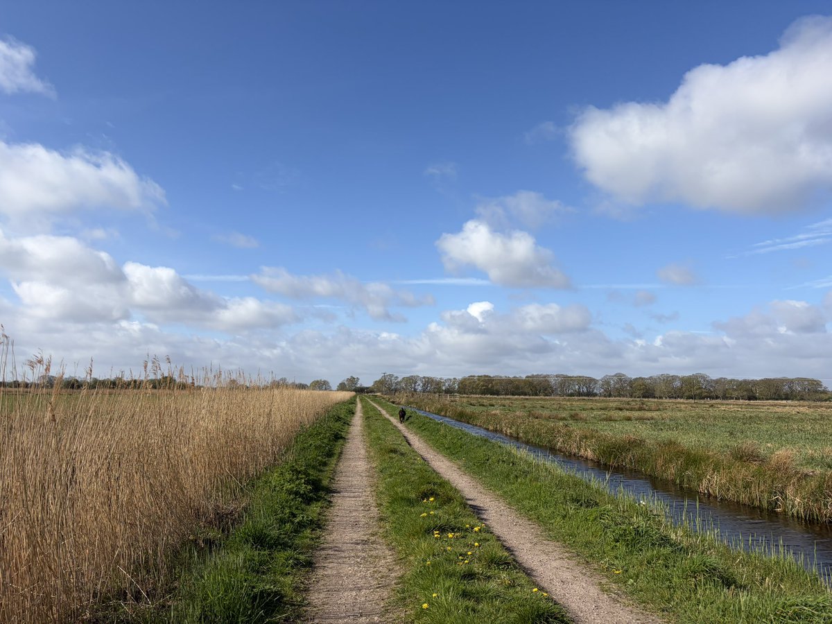 Becks and Charlie Brown tweet media