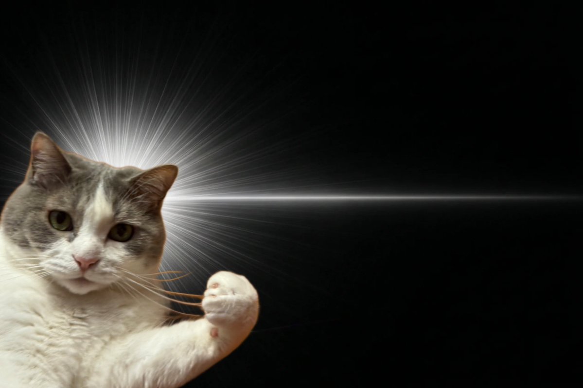 猫の手を借りたいか？
#InspirationCat