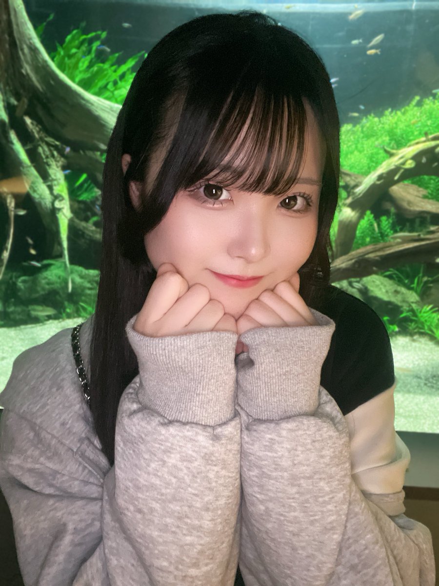 芽咲 メイ @4/28生誕 tweet media