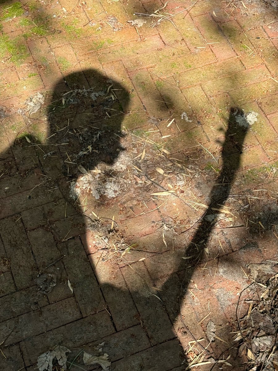 ᴿᴱᴹ tweet media