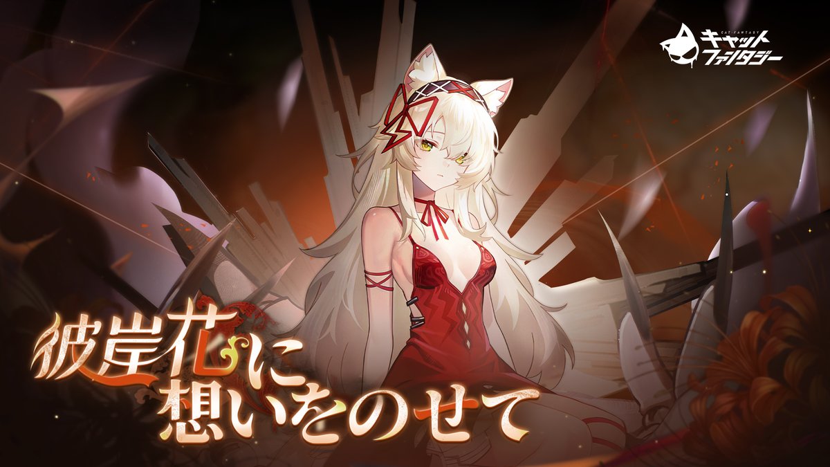 【公式】キャットファンタジー Cat Fantasy tweet media