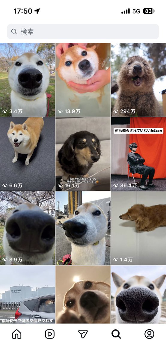 ぴえどら tweet media