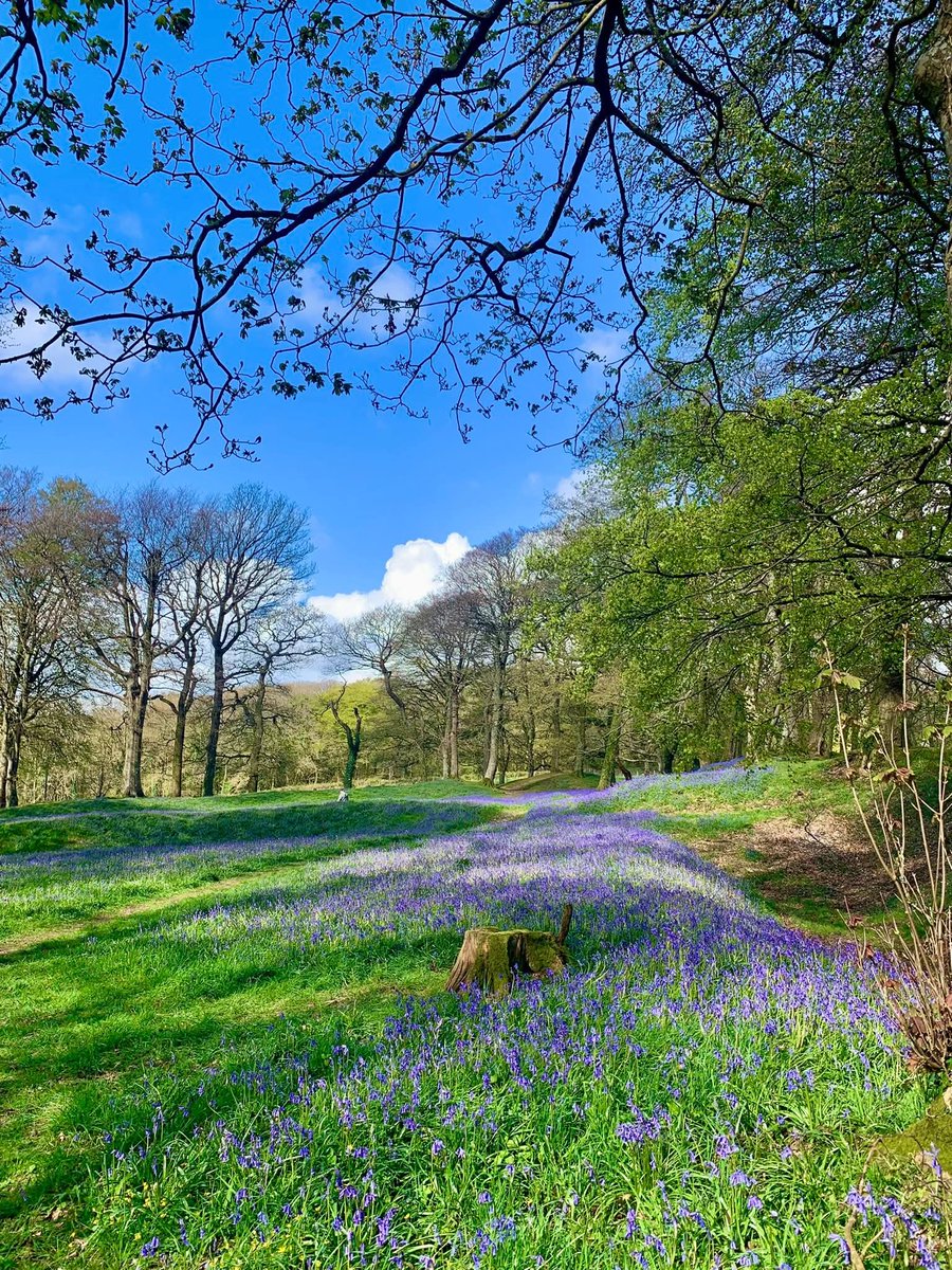 sally_ann16844's tweet photo. Beautiful sunshine and blue skies! Happy Thursday!
#DevonUK
#RuralLife https://t.co/MXKSC960vP