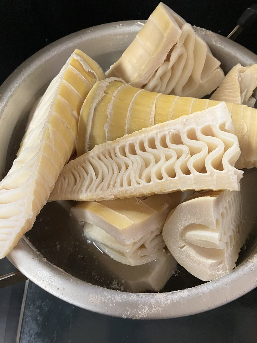 紫珠　i╹◡╹)ξ tweet media