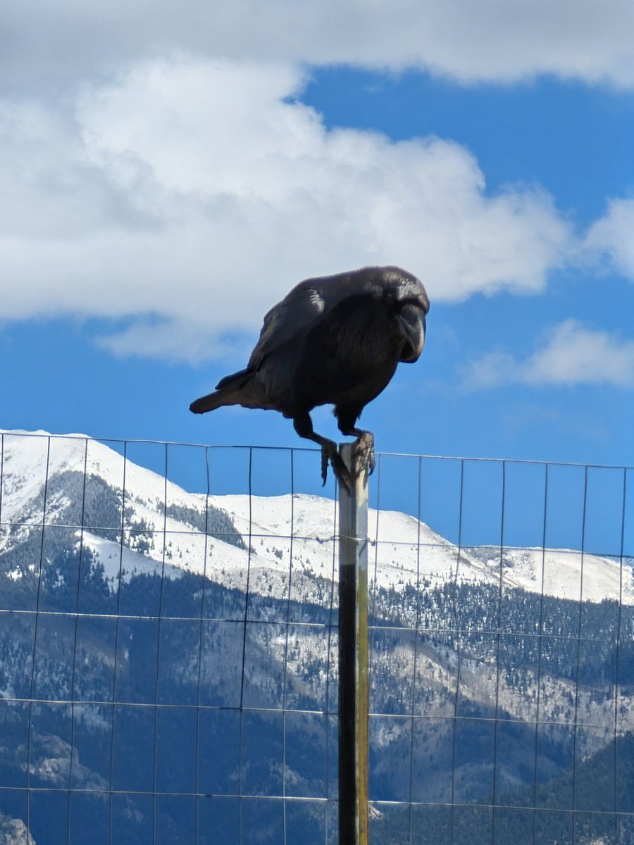 Loralee Logan 🌻🌻🌻 tweet media