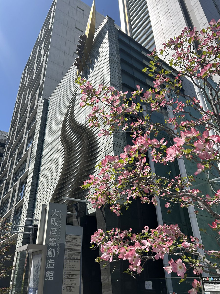 小林美代子/Miyoko Kobayashi tweet media