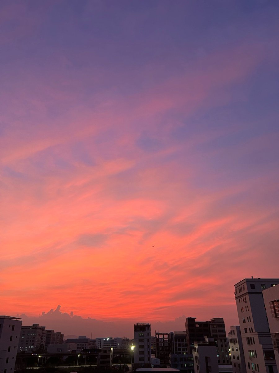 SanglertSunn tweet media