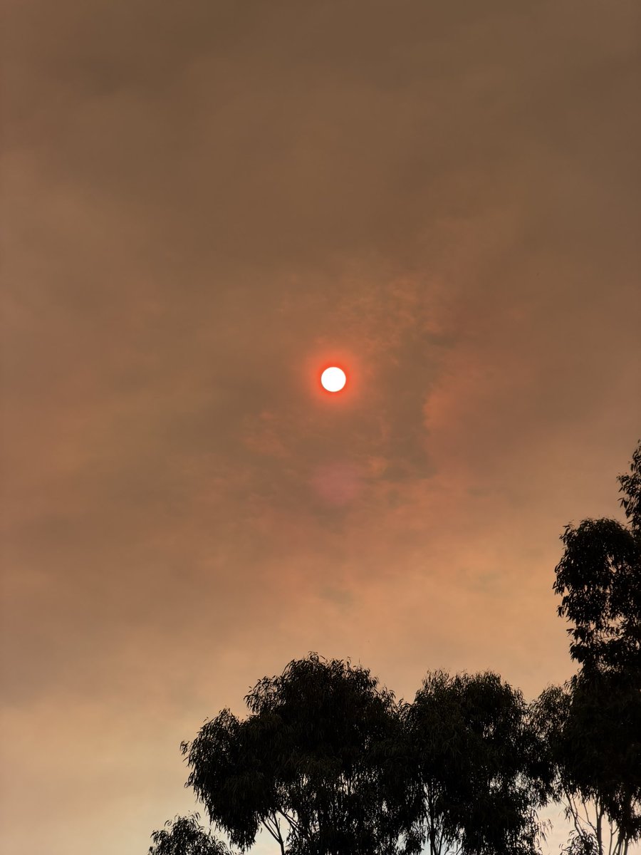 0xTab's tweet photo. Sydney looking a little spooky today https://t.co/TD3yzk1I8Q
