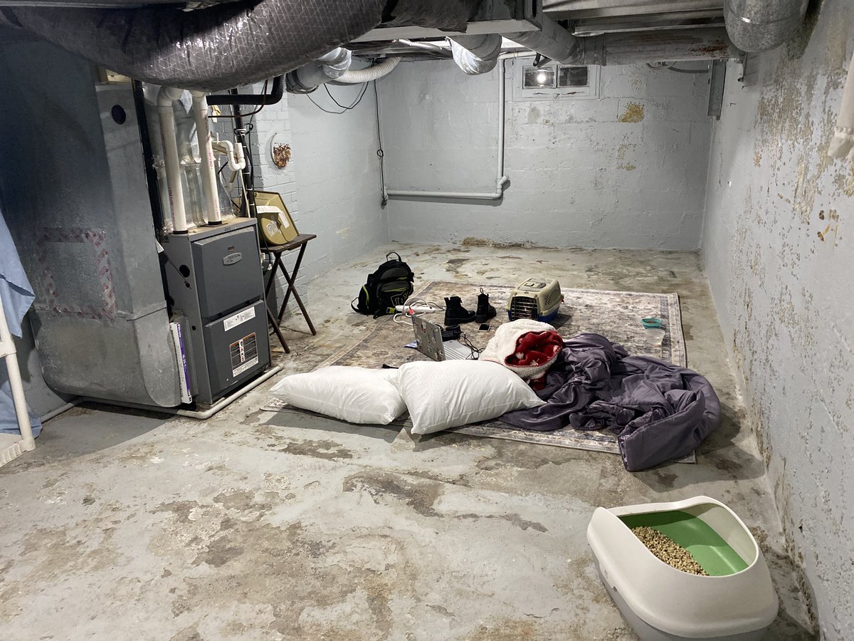 ╰ ┆ needle / пытки tweet media