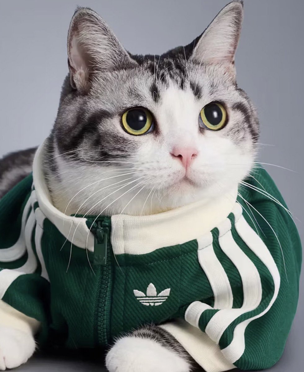 ウルマ∞｜アパレル社長の本音 tweet media