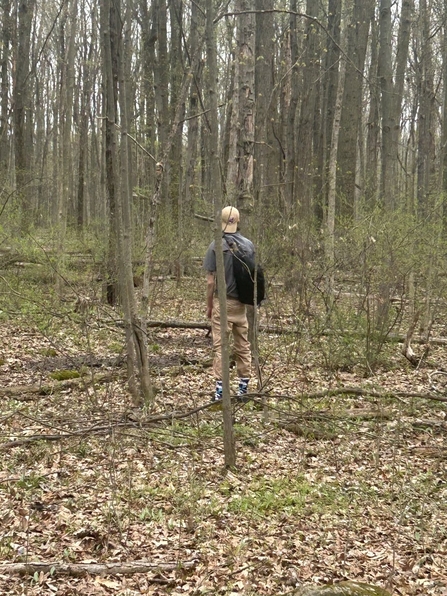 Molnar93's tweet image. It rained on us for about an hr today,,, it didnt change a thing

#ohio #morels #deershed