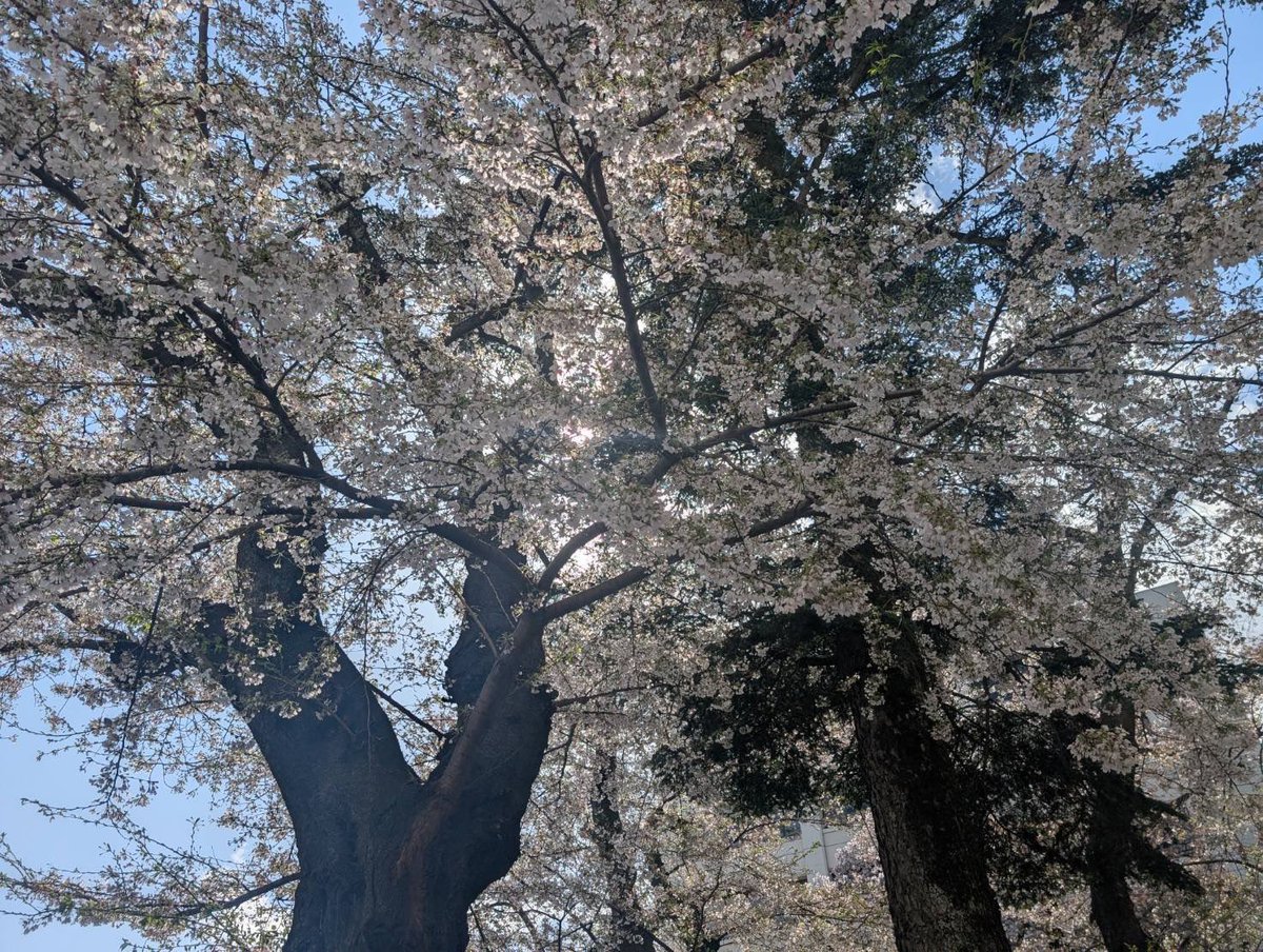 東北学院大学演劇部 tweet media