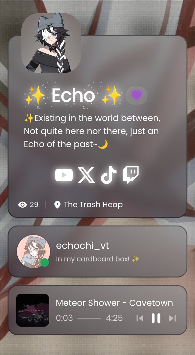 ✨Echo🌙 tweet media