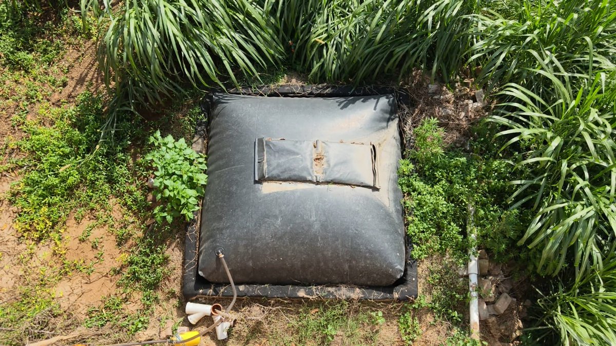 bstvlive's tweet image. सहारनपुर 
➡थरौली गांव बना आत्मनिर्भरता की मिसाल
➡गोबर गैस से जल रहे चूल्हे, LPG से बनाई दूरी
➡ISO सर्टिफाइड हाईटेक गांव ने दिखाई नई राह
➡आधे से ज्यादा घरों में लगे बायोगैस प्लांट
#Saharanpur #Breakingnews