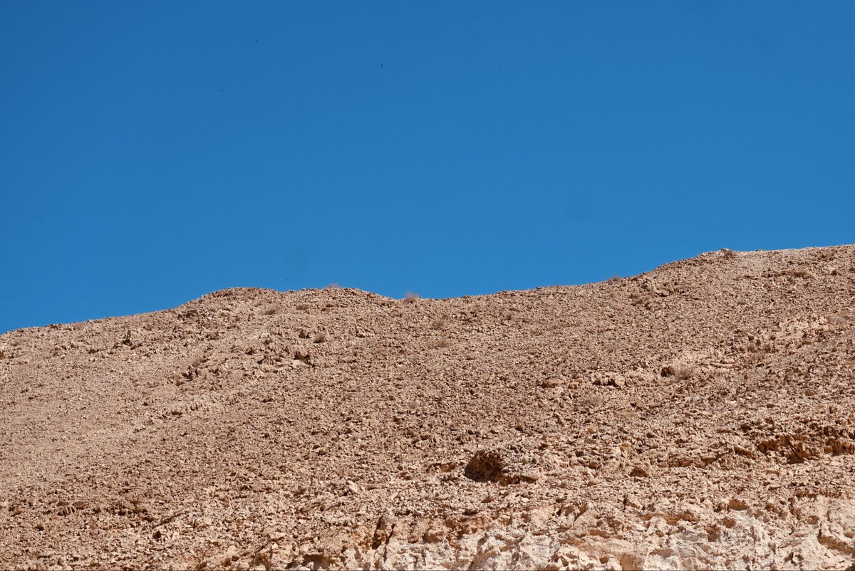 lizaphoto20's tweet image. close enough to feel
#photography