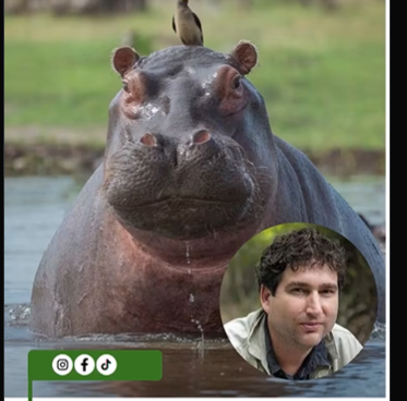 Romanos 14-11 tweet media