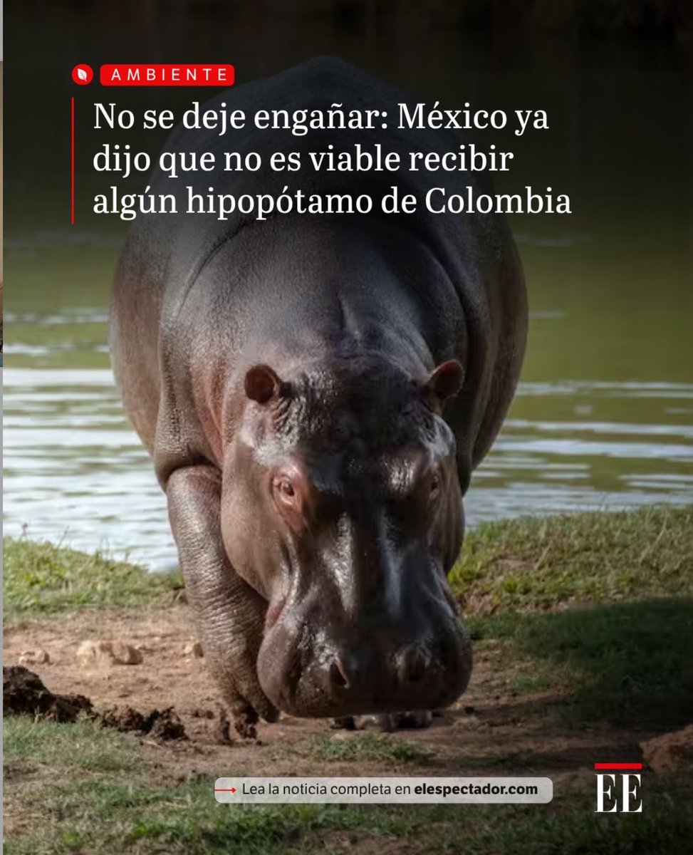 Esther Castro tweet media