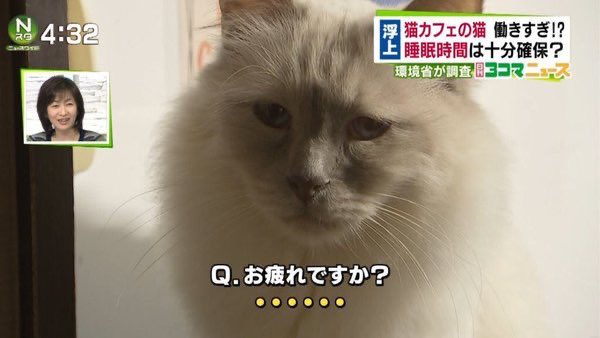 🏆それいけ★¨̮あっきー🏆【本垢】フォロバ祭り17 tweet media