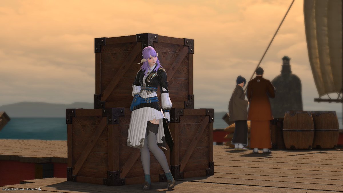 きゆるん(*‘ω‘ *)FF14/Aegis tweet media