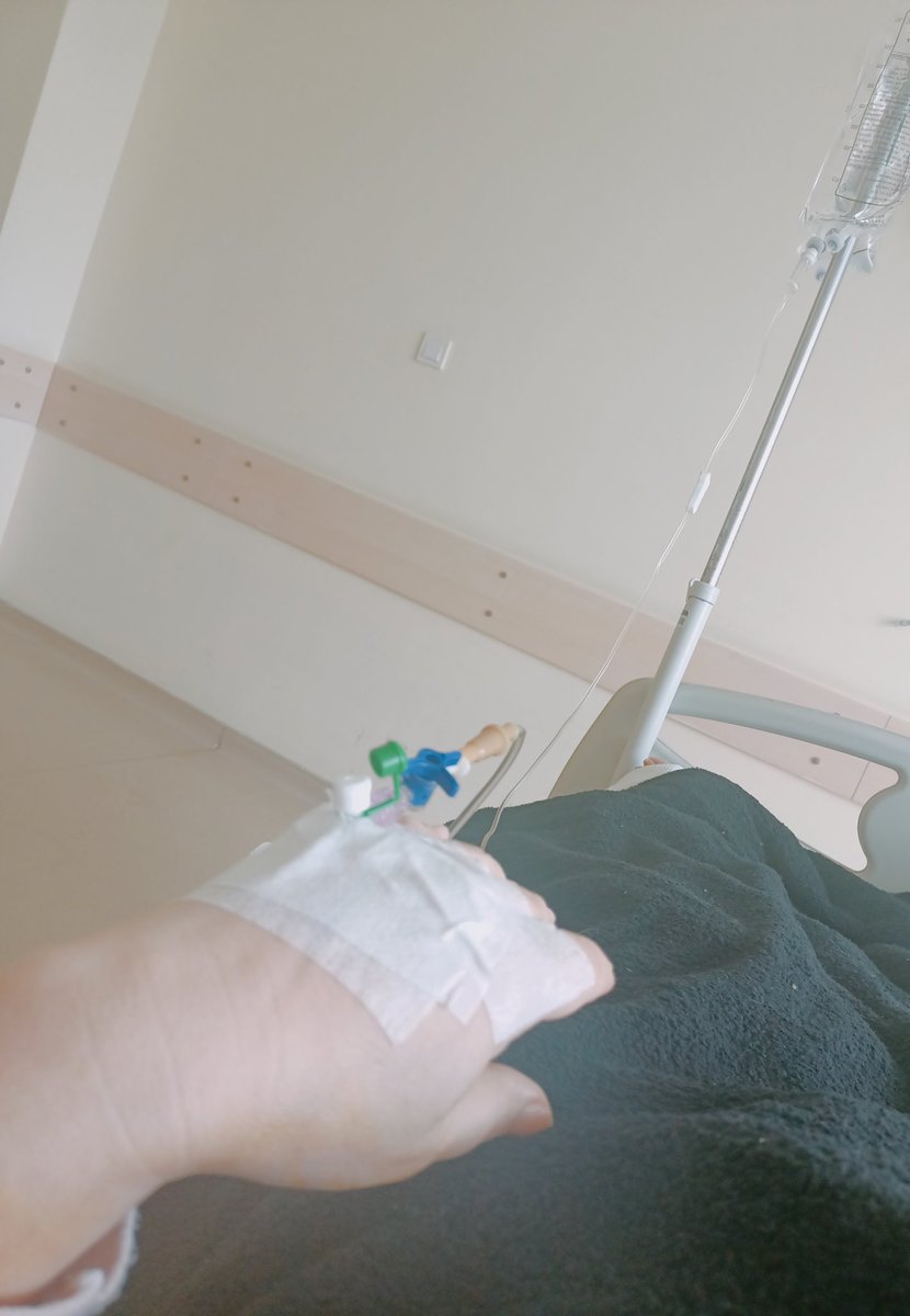 A_Y_L_A-2035💙🐬🌼 tweet media