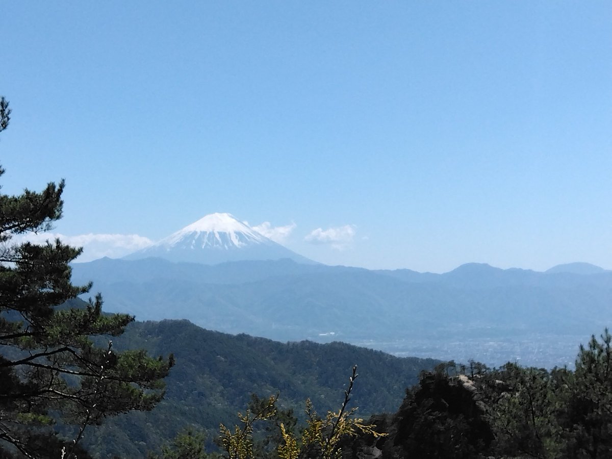 マイネル所長 tweet media