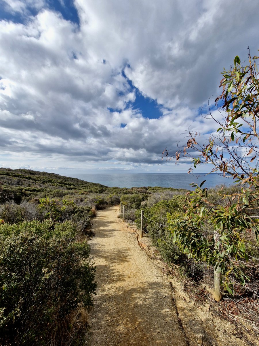 Rob Graham tweet media