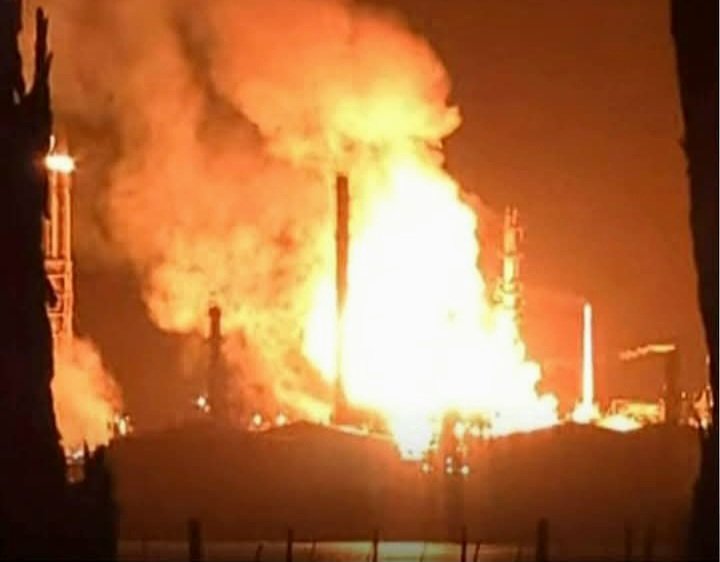 Australian Patriot. tweet media