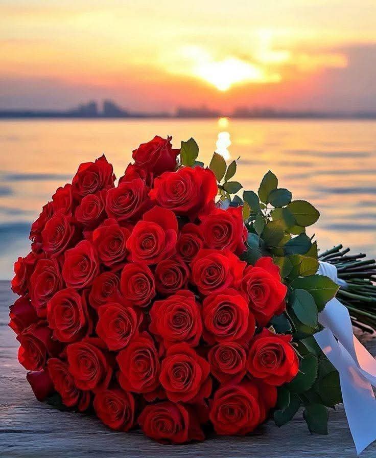 ✨️عزيز✨️ tweet media