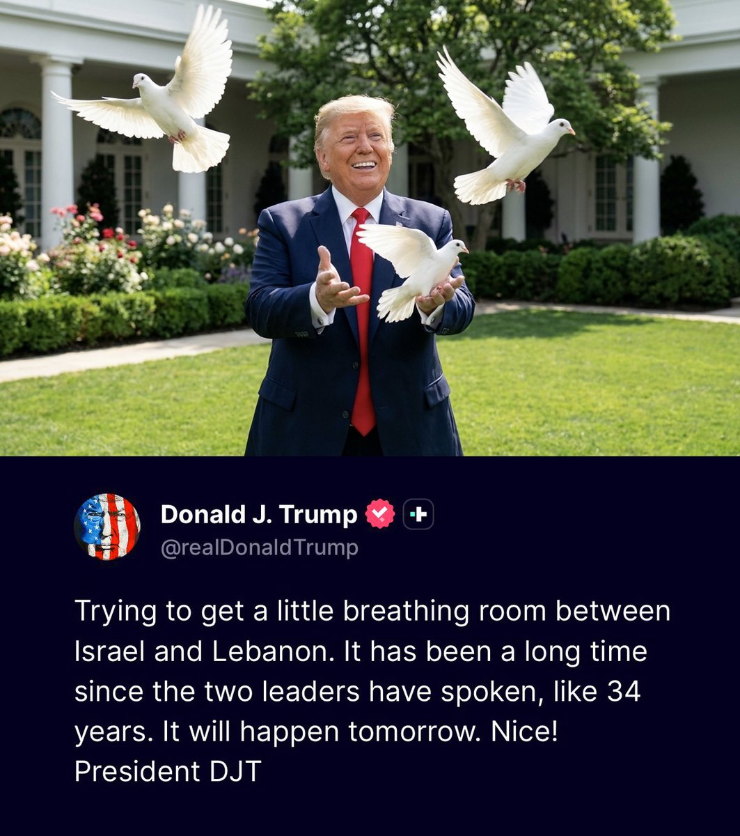 il Donaldo Trumpo tweet media