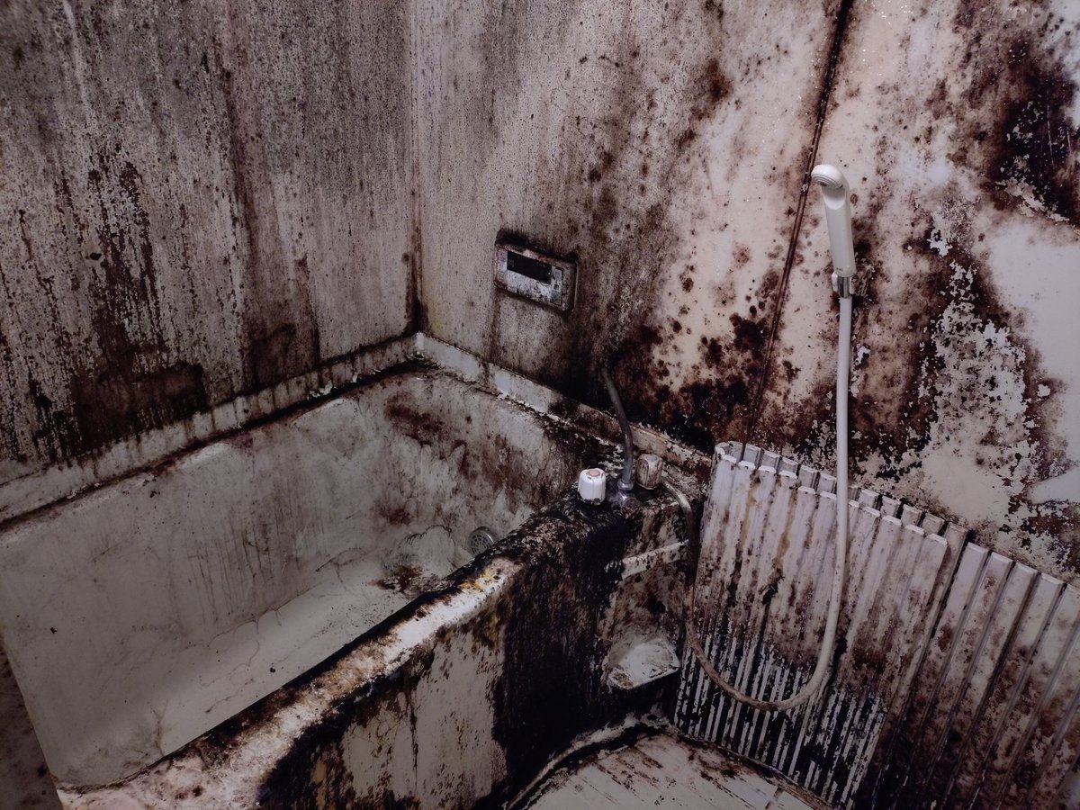 せん@汚部屋ネキ tweet media