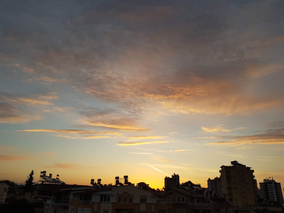 Mehmet Bulut tweet media