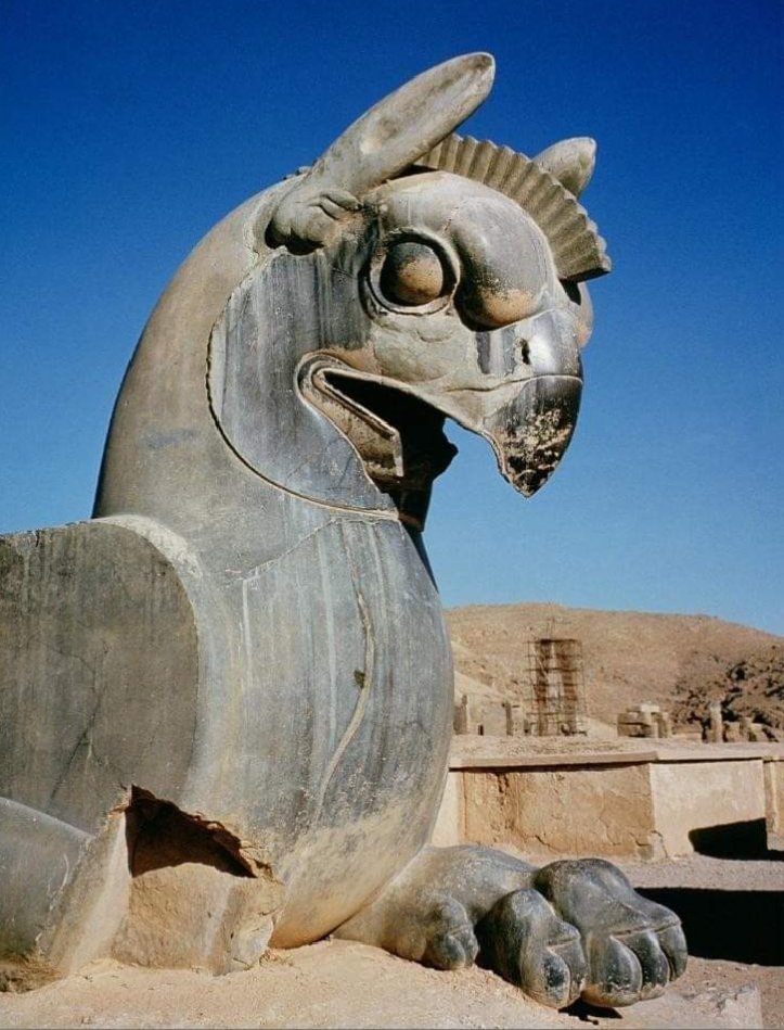 Giant Persian Griffin (516-465 BC), Persepolis, Iran 🇮🇷

The word "Griffin" comes from Old French word "griffon," which was used to refer to both the legendary animal and birds of prey in general. Late Latin word "Gryphus," which was derived from an incorrect spelling of ancient