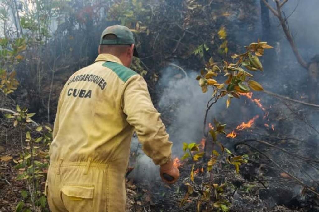 Fuerzas del Cuerpo de Guardabosques, empresas forestales y la Minera del Caribe combaten dos incendios forestales en la serranía pinareña en condiciones muy complejas.
El mayor, de muy grandes proporciones, en el municipio de Minas de Matahambre, sobrepasa las 540 hectáreas
👇
