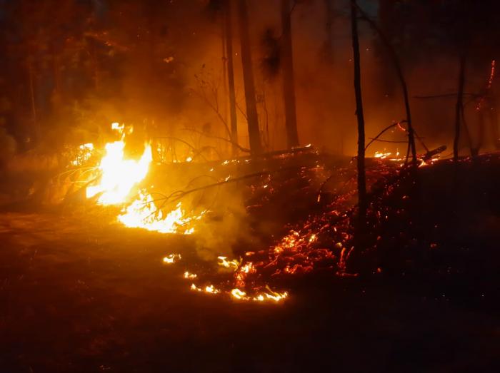 El segundo siniestro, en  La Güira, en las montañas del municipio de Pinar del Río, también ha ganado terreno
🔥La prolongada sequía, la gran cantidad de material combustible (hojas, ramas y troncos secos), el viento y lo complicado del acceso, han propiciado su propagación