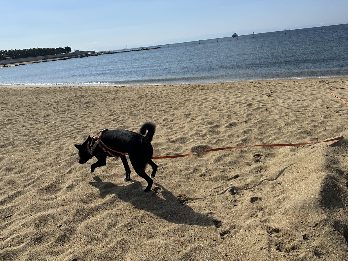 桜愛日々/6月までおやすみ tweet media