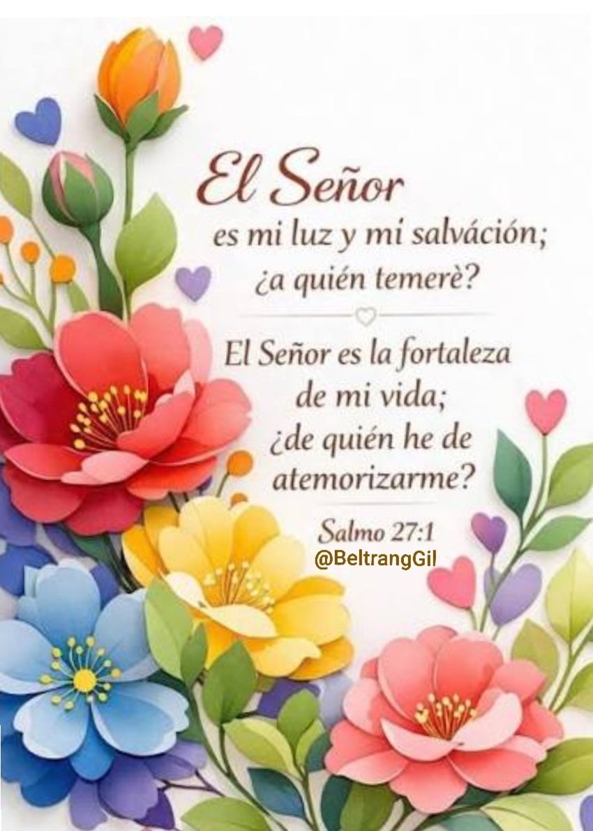 Beltran Rafael Gil tweet media