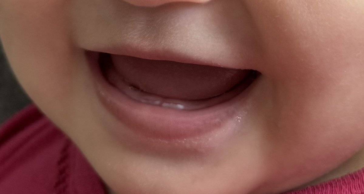 れちゃ tweet media