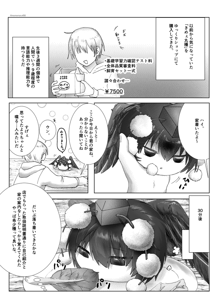 mememaru789's tweet photo. 『きめぇ丸種を買ってみた』1/2

・ゆ虐設定軸であることを留意してください
・個人的解釈を含んだ二次創作です

#ゆ愛で https://t.co/KmkZ6glMQD
