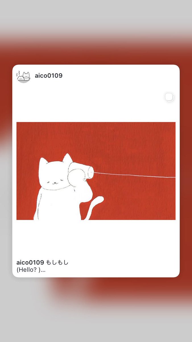 にゃんことみーこ®︎ tweet media