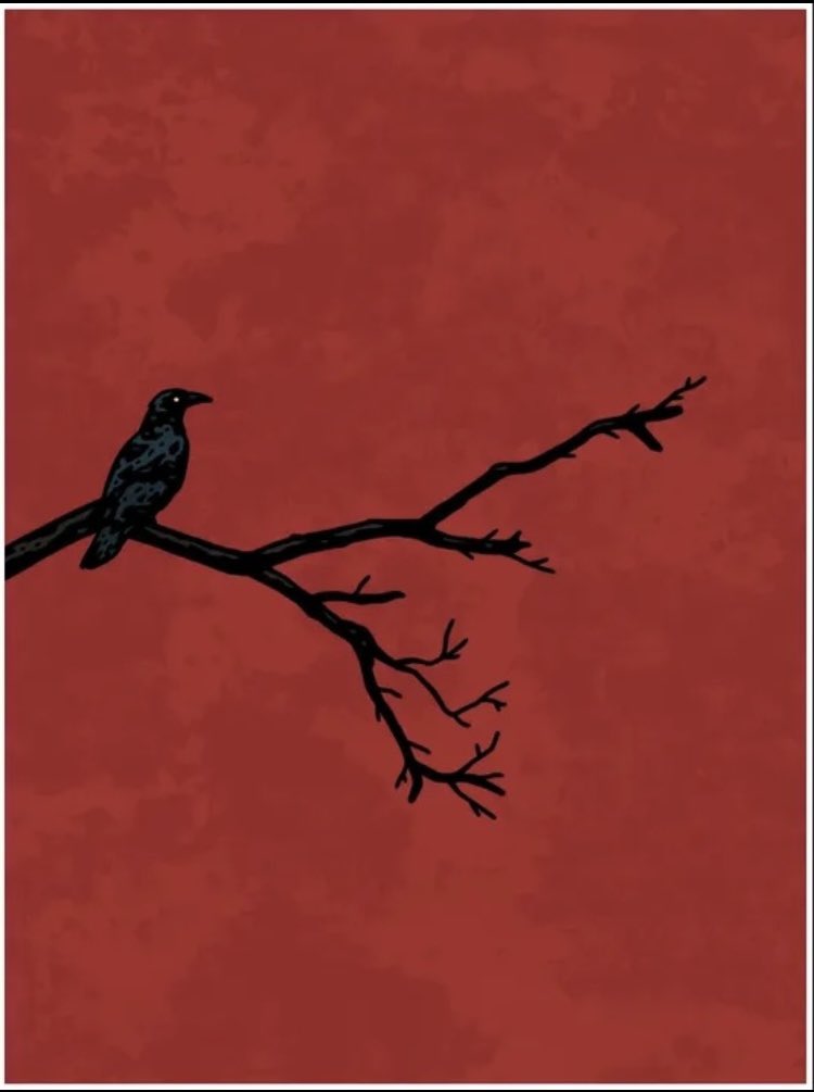 marysocontrary tweet media