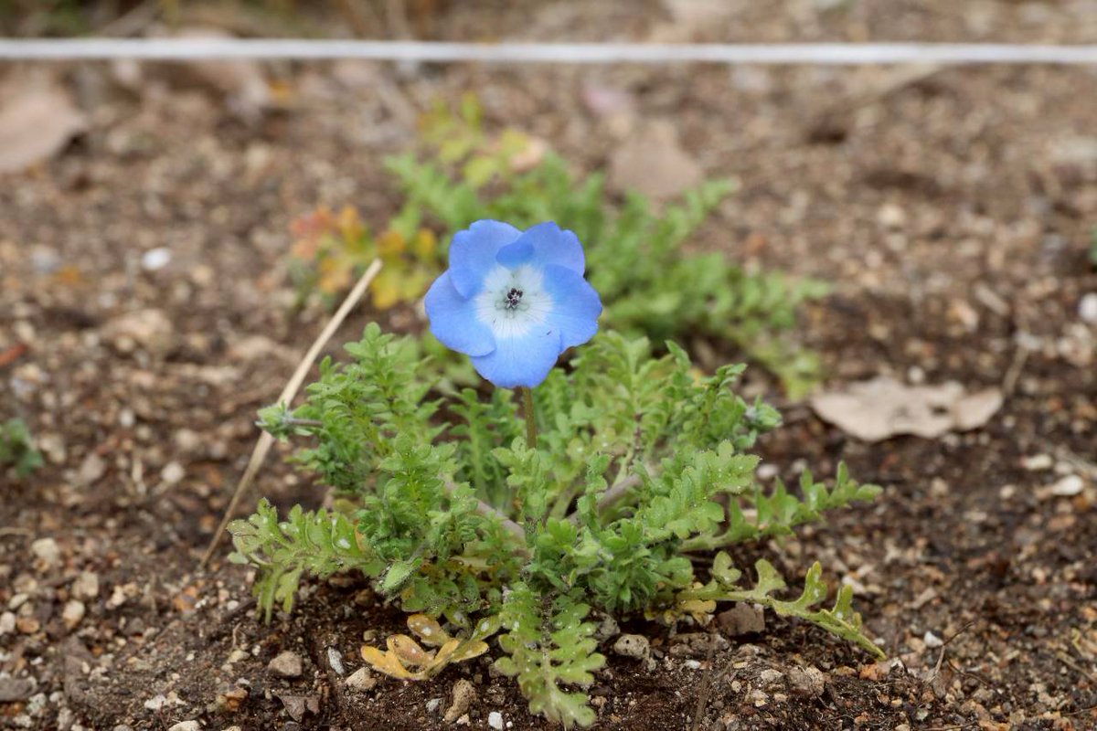 Joy Tune Radio tweet media